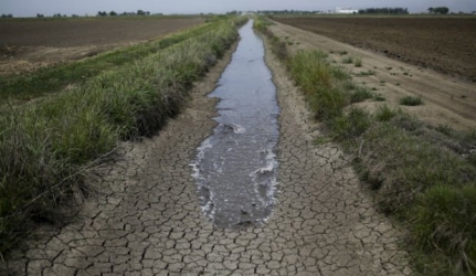 https://www.tp24.it/immagini_articoli/07-07-2026/acqua-pubblica-in-sicilia-il-forum-annuncia-la-mobilitazione-contro-il-ddl-schifani-250.jpg
