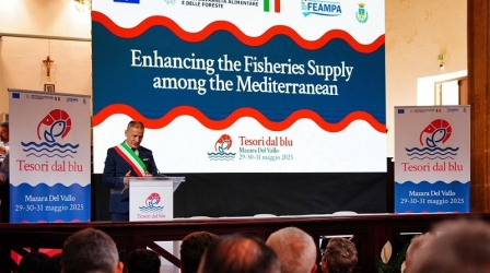 https://www.tp24.it/immagini_articoli/07-07-2026/chi-vuole-organizzare-tesori-dal-blu-a-mazara-una-gara-da-139mila-euro-250.jpg