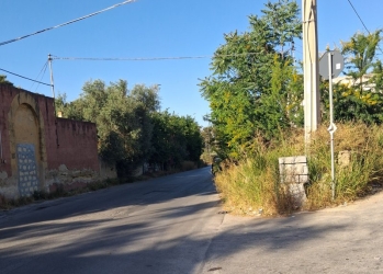 https://www.tp24.it/immagini_articoli/07-07-2026/marsala-le-sterpaglie-riducono-la-visibilita-in-via-trapani-250.jpg
