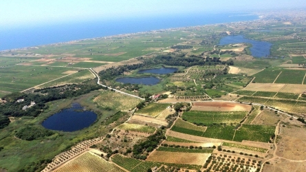 https://www.tp24.it/immagini_articoli/07-07-2026/mazara-rifiuti-nella-riserva-gorghi-tondi-il-wwf-chiede-piu-controlli-e-telecamere-250.jpg