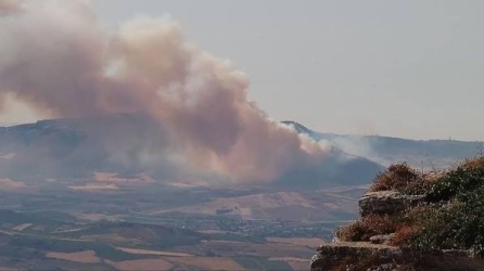https://www.tp24.it/immagini_articoli/07-08-2026/incendi-18-milioni-per-ricostruire-i-boschi-siciliani-in-provincia-di-trapani-c-e-un-solo-progetto-990-mila-euro-a-salemi-250.jpg