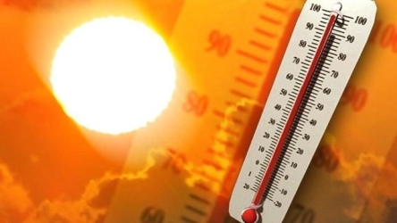 https://www.tp24.it/immagini_articoli/07-08-2026/meteo-sicilia-ancora-caldo-a-trapani-fino-a-34-gradi-la-tregua-e-lontana-250.jpg
