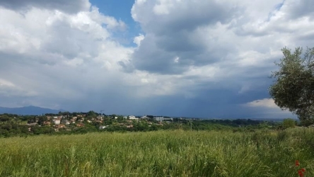 https://www.tp24.it/immagini_articoli/07-10-2026/meteo-sicilia-oggi-7-ottobre-caldo-anomalo-nel-trapanese-vento-e-mare-mosso-da-venerdi-cambia-tutto-250.jpg
