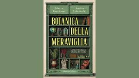 https://www.tp24.it/immagini_articoli/08-02-2026/suonare-mentre-la-nave-affonda-botanica-della-meraviglia-250.jpg