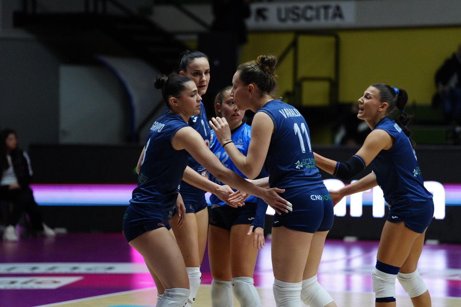 https://www.tp24.it/immagini_articoli/08-03-2026/1772959252-0-per-la-sigel-seap-marsala-volley-un-punto-d-oro-a-casa-della-capolista-altamura.jpg