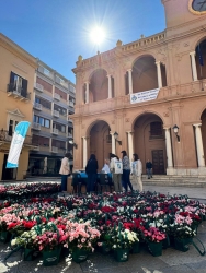 https://www.tp24.it/immagini_articoli/08-05-2026/azalea-per-la-ricerca-contro-il-cancro-domenica-in-piazza-loggia-a-marsala-250.jpg