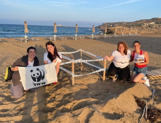 https://www.tp24.it/immagini_articoli/08-06-2026/al-via-la-stagione-dei-nidi-di-tartaruga-in-sicilia-tra-i-primi-uno-a-mazara-250.jpg