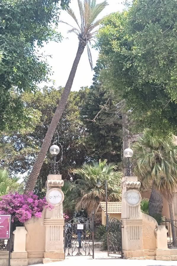 https://www.tp24.it/immagini_articoli/08-07-2026/1783489655-0-marsala-oggi-si-abbatte-la-palma-di-villa-cavallotti-ecco-perche.jpg