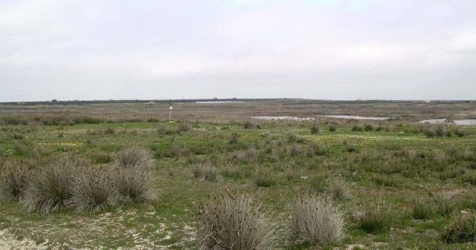 https://www.tp24.it/immagini_articoli/08-08-2026/capo-feto-e-margi-spano-verso-la-nuova-riserva-naturale-in-provincia-di-trapani-250.jpg