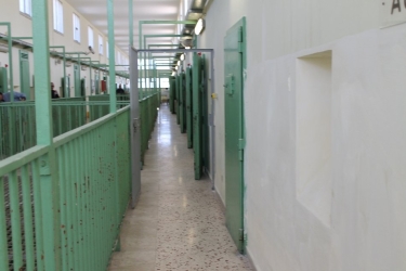 https://www.tp24.it/immagini_articoli/08-08-2026/carcere-di-trapani-al-collasso-acqua-marrone-celle-sovraffollate-e-detenuti-per-20-ore-dentro-250.jpg