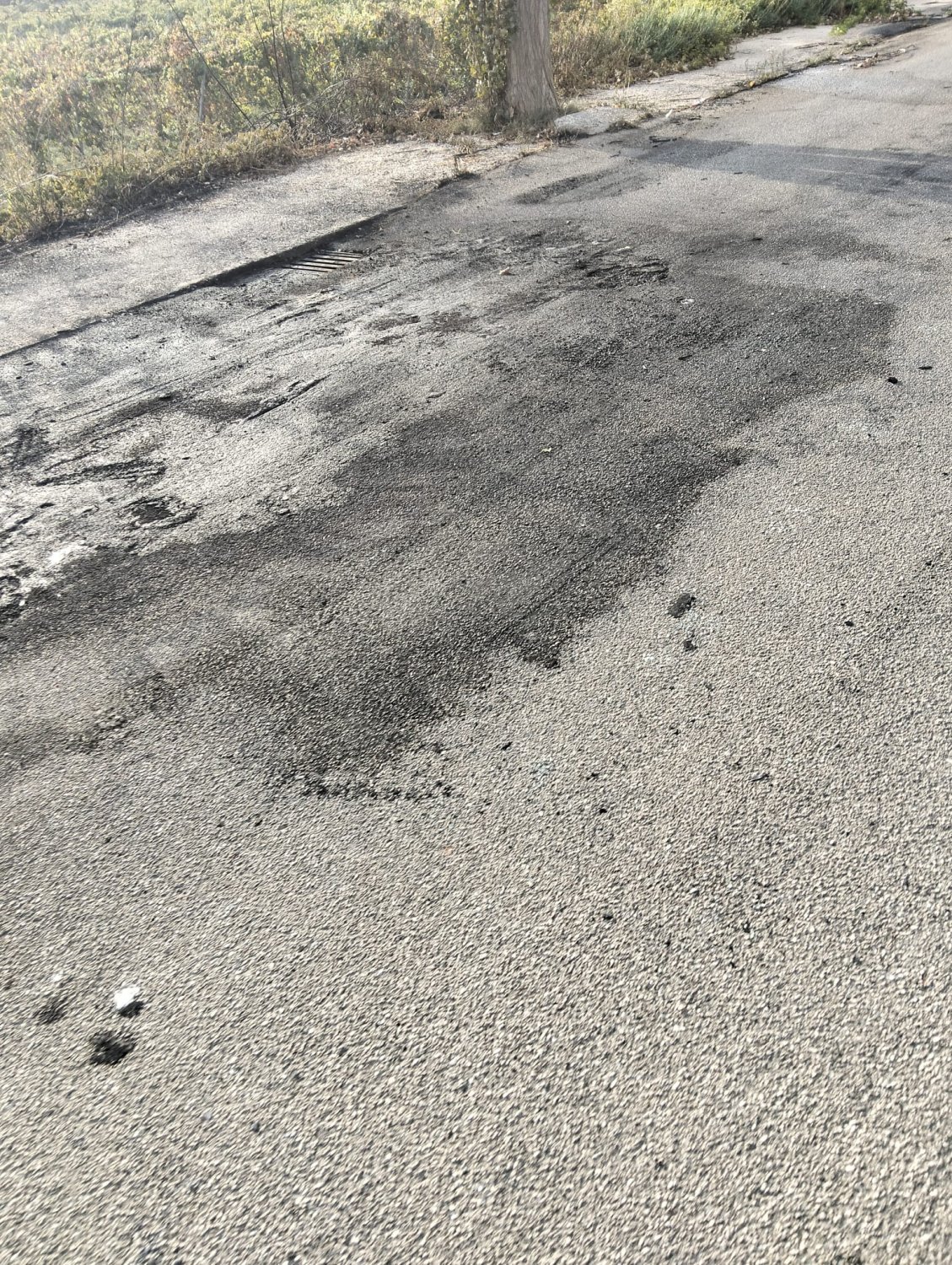 https://www.tp24.it/immagini_articoli/08-10-2026/1791473570-0-auto-in-fiamme-a-petrosino-intervento-dei-vigili-del-fuoco-in-via-marsala.jpg