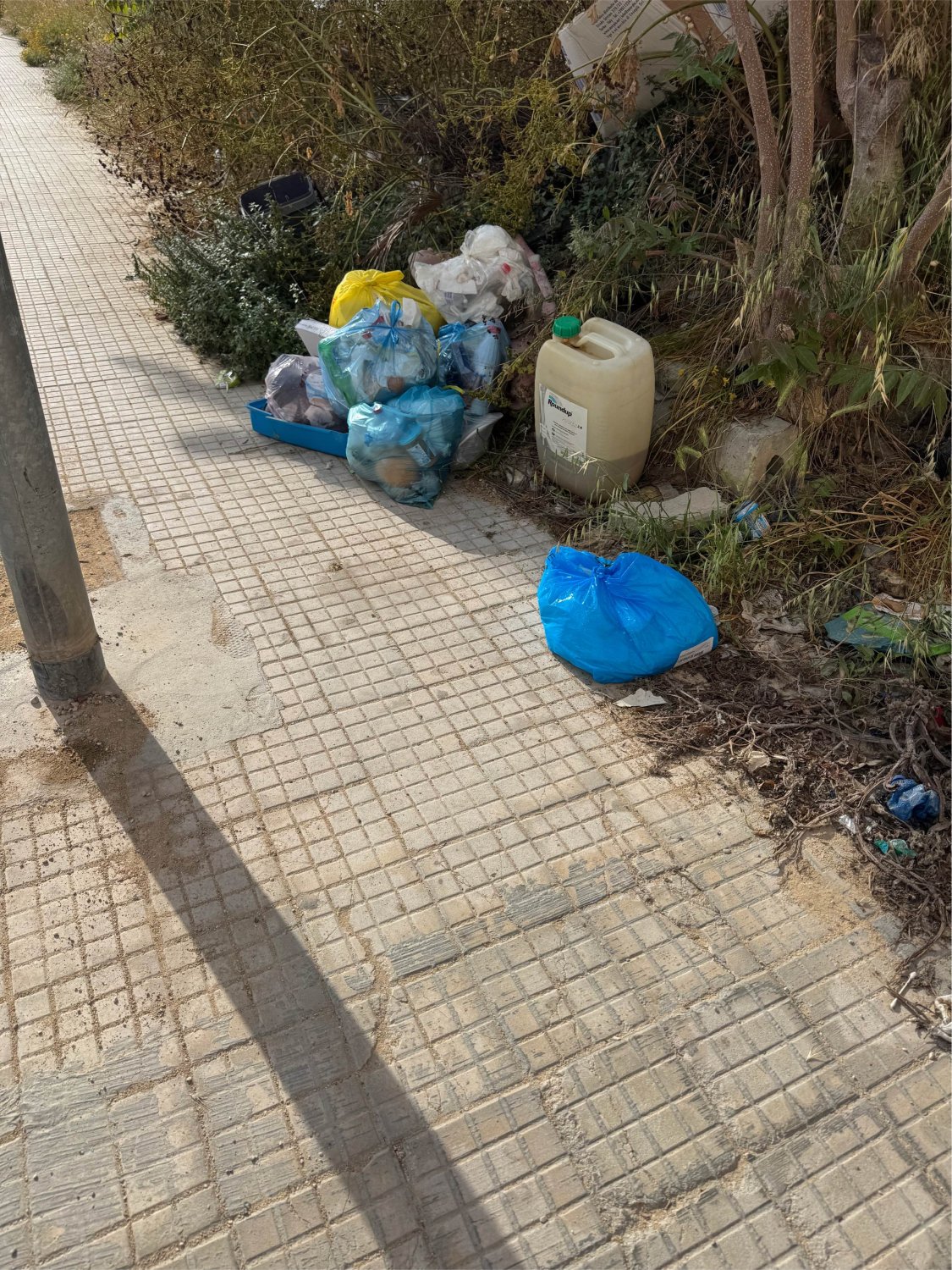 https://www.tp24.it/immagini_articoli/09-05-2026/1778336485-0-marsala-rifiuti-e-incuria-in-via-e-del-giudice.jpg