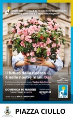 https://www.tp24.it/immagini_articoli/09-05-2026/ad-alcamo-torna-l-azalea-della-ricerca-airc-per-la-festa-della-mamma-250.jpg