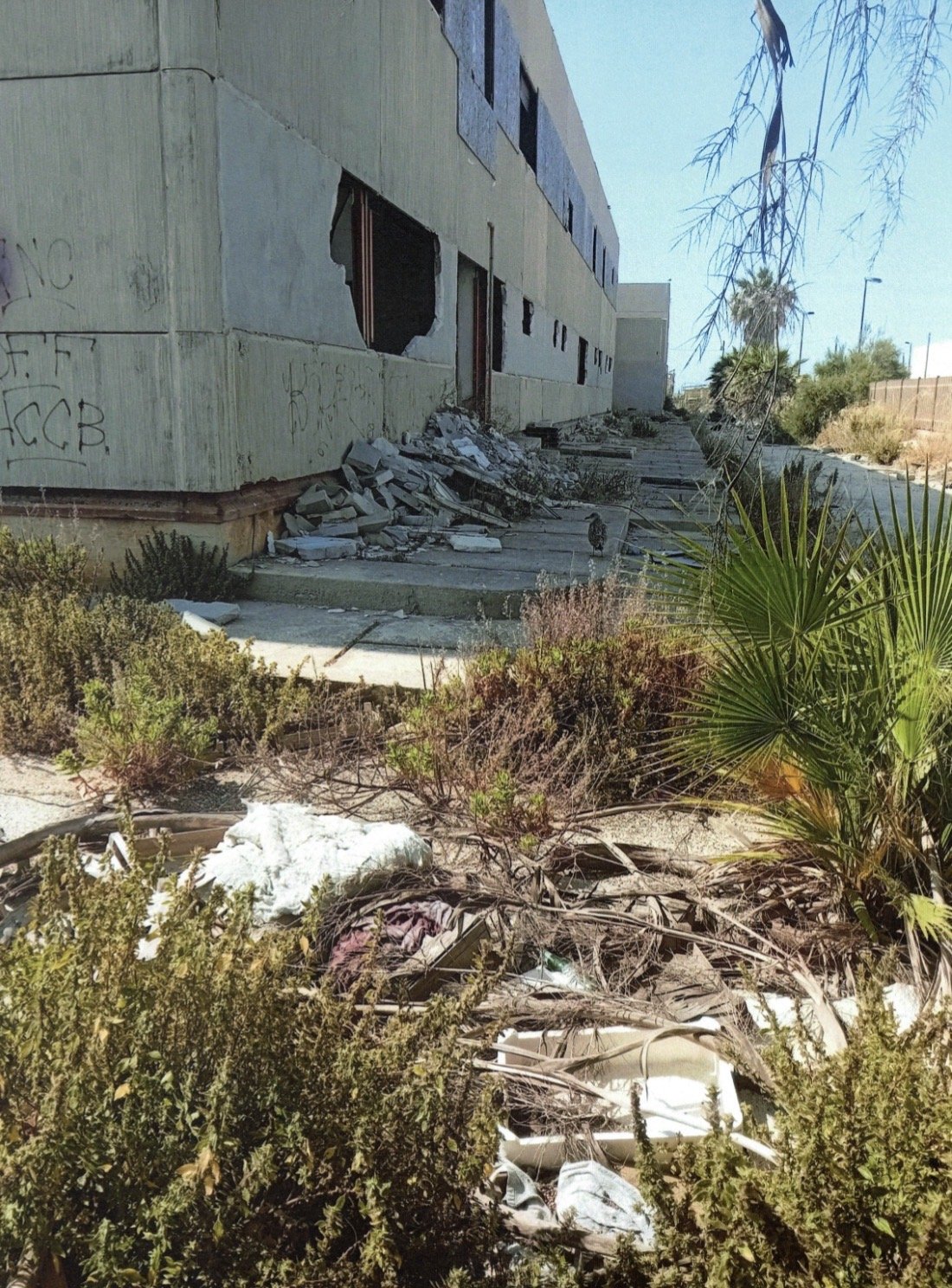 https://www.tp24.it/immagini_articoli/09-06-2026/1781008433-0-trapani-degrado-nell-area-dell-ex-buscaino-campo-il-comune-diffida-il-demanio.jpg