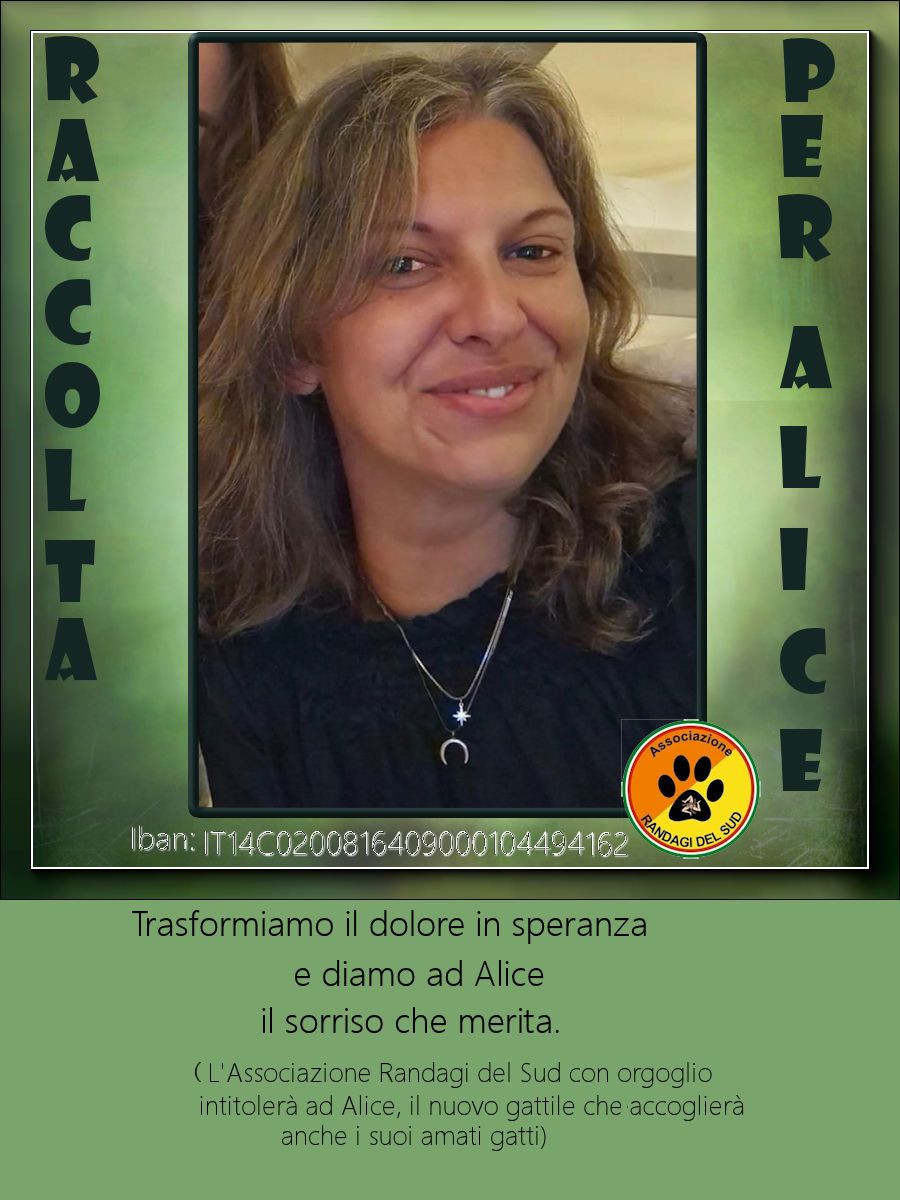 https://www.tp24.it/immagini_articoli/09-07-2025/1752090494-0-marsala-una-raccolta-fondi-per-ricordare-alice-cangemi-nascera-un-gattile-a-suo-nome.jpg