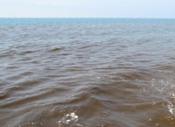 https://www.tp24.it/immagini_articoli/09-08-2026/dal-modione-un-fiume-di-melma-nel-mare-di-selinunte-ma-la-situazione-ora-e-sotto-controllo-250.jpg