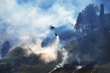 https://www.tp24.it/immagini_articoli/09-08-2026/salemi-brucia-ancora-devastante-incendio-a-monte-rose-fiamme-vicino-alle-case-250.jpg