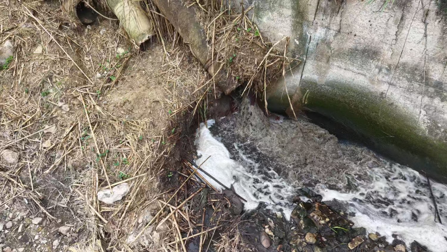https://www.tp24.it/immagini_articoli/09-10-2026/1791502263-0-scarichi-putridi-in-uscita-dal-depuratore-di-alcamo-riversati-nel-torrente-canalotto.jpg