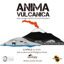 https://www.tp24.it/immagini_articoli/10-04-2026/anima-vulcanica-etna-e-pantelleria-si-incontrano-al-vinitaly-tra-fuoco-e-mare-250.jpg