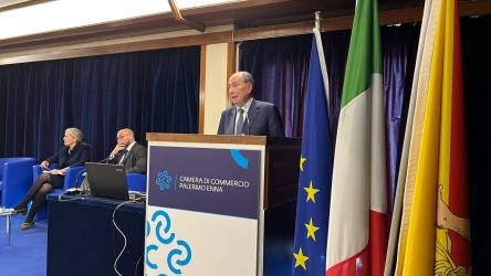 https://www.tp24.it/immagini_articoli/10-04-2026/rifiuti-schifani-entro-il-2028-operativi-i-termovalorizzatori-in-sicilia-250.jpg