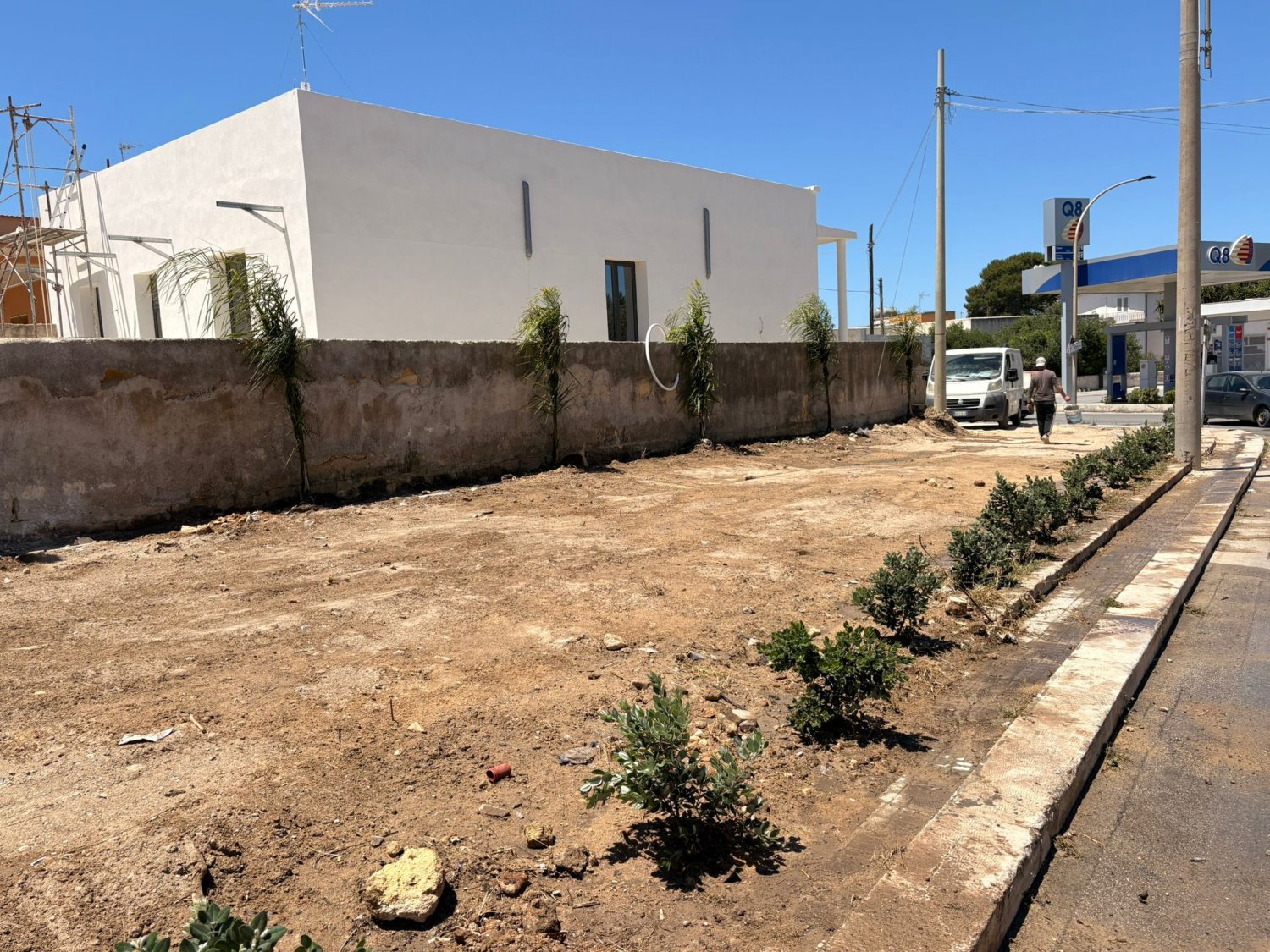 https://www.tp24.it/immagini_articoli/10-06-2026/1781083588-0-marsala-rubate-le-piante-appena-messe-per-decorare-un-area-vicino-ad-una-pizzeria.jpg