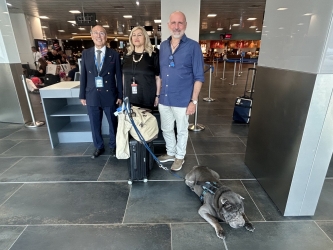 https://www.tp24.it/immagini_articoli/10-08-2026/geppino-13-anni-e-29-chili-il-primo-cane-in-volo-con-ita-airways-da-palermo-a-linate-250.jpg