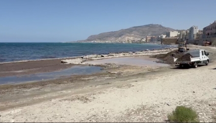 https://www.tp24.it/immagini_articoli/10-08-2026/trapani-posidonia-sotto-le-mura-la-sfida-tra-balneazione-e-natura-250.jpg