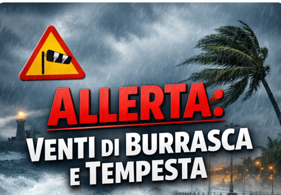 https://www.tp24.it/immagini_articoli/11-02-2026/1770828727-0-allerta-venti-di-burrasca-e-tempesta-per-domani-in-provincia-di-trapani.png