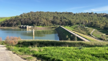 https://www.tp24.it/immagini_articoli/11-07-2026/diga-trinita-i-guardiani-del-territorio-turbine-pvc-e-la-favola-dell-acqua-che-non-c-e-250.jpg