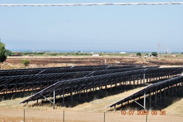 https://www.tp24.it/immagini_articoli/11-07-2026/le-fattorie-eoliche-e-solari-che-sotterrano-la-campagna-mazarese-250.jpg