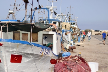 https://www.tp24.it/immagini_articoli/11-08-2026/trapani-punta-sulla-blue-economy-per-trasformare-la-costa-entro-il-2030-250.jpg