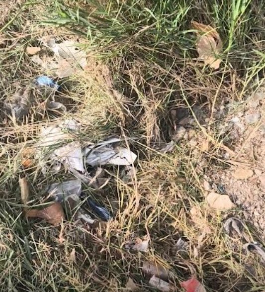 https://www.tp24.it/immagini_articoli/12-05-2026/1778567147-0-a-paceco-rifiuti-triturati-e-dispersi-nell-ambiente-in-via-pecoreria.jpg