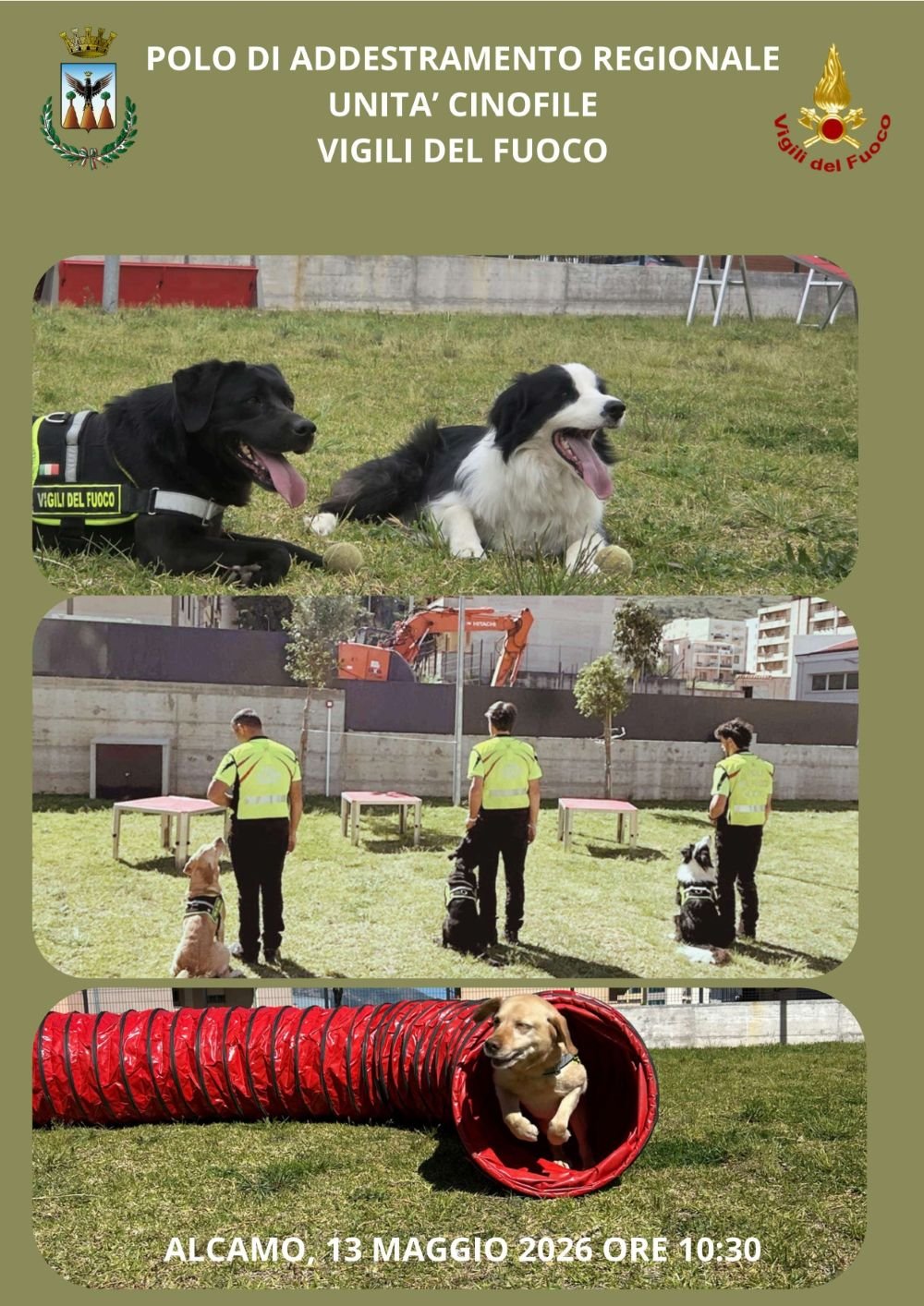 https://www.tp24.it/immagini_articoli/12-05-2026/1778613367-0-ad-alcamo-un-nuovo-spazio-dedicato-ai-cani-da-soccorso-dei-vigili-del-fuoco.jpg