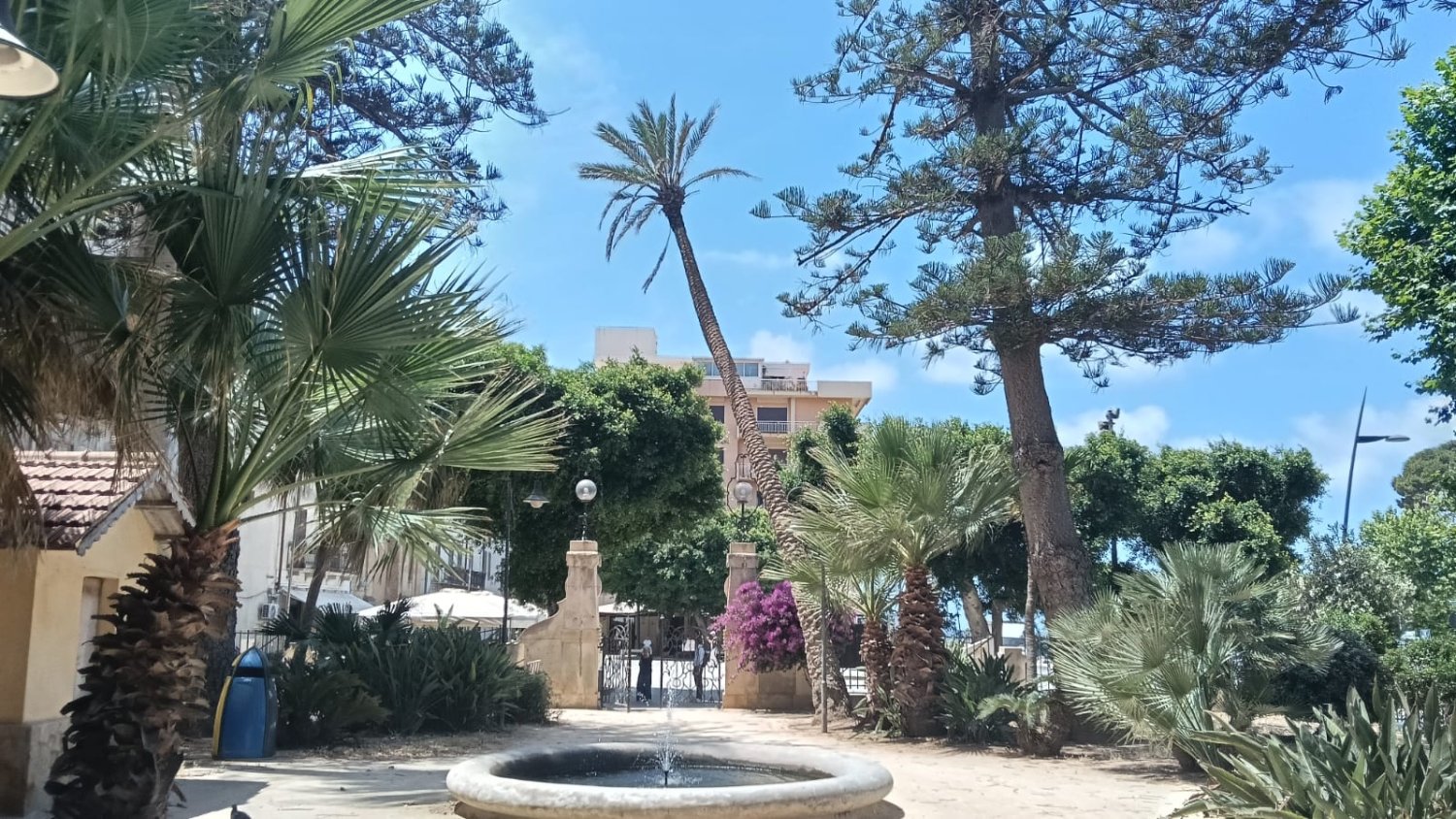 https://www.tp24.it/immagini_articoli/12-06-2026/1781273947-0-marsala-rischio-caduta-di-una-palma-a-villa-cavallotti.jpg
