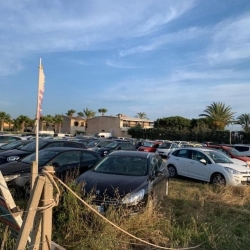 https://www.tp24.it/immagini_articoli/12-08-2026/stagnone-di-marsala-riserva-naturale-o-discoteca-all-aperto-250.jpg