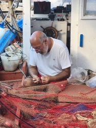 https://www.tp24.it/immagini_articoli/12-09-2026/favignana-pesca-e-quote-tonno-maiorana-fdi-basta-passerelle-serve-concretezza-250.jpg