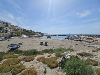https://www.tp24.it/immagini_articoli/12-09-2026/porto-di-selinunte-ciminnisi-la-regione-tace-da-mesi-250.jpg