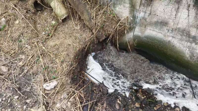 https://www.tp24.it/immagini_articoli/12-10-2026/1791817028-0-alcamo-muschio-ribelle-acqua-e-beni-comuni-i-cittadini-siano-una-risorsa.jpg