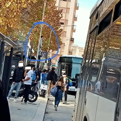https://www.tp24.it/immagini_articoli/12-11-2025/marsala-ragazzo-aspetta-il-bus-sopra-la-pensilina-250.jpg
