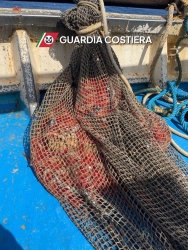 https://www.tp24.it/immagini_articoli/13-03-2026/pesca-illegale-al-largo-di-marettimo-sequestrati-130-kg-di-gamberi-250.jpg