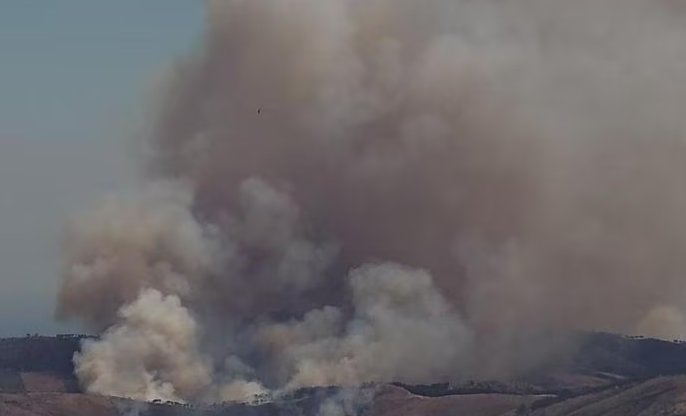 https://www.tp24.it/immagini_articoli/13-06-2026/1781359648-0-trapani-vasto-incendio-a-montagna-grande-in-azione-canadair-ed-elicotteri.jpg