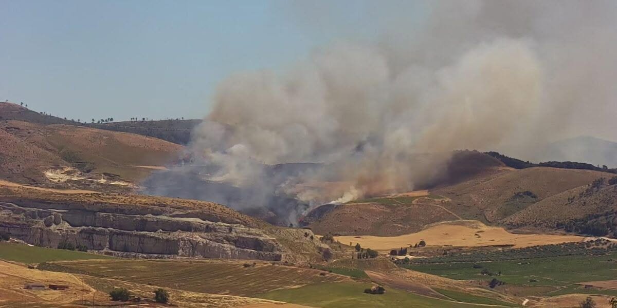 https://www.tp24.it/immagini_articoli/13-06-2026/1781382304-0-incendio-a-montagna-grande-il-rogo-non-e-ancora-spento.jpg