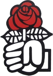 https://www.tp24.it/immagini_articoli/13-10-2026/la-casa-vuota-lettera-di-un-radicale-alla-sinistra-che-non-c-e-piu-250.jpg