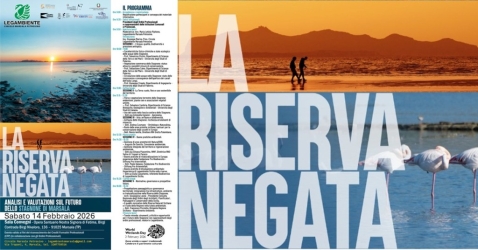 https://www.tp24.it/immagini_articoli/14-02-2026/marsala-oggi-il-convegno-la-riserva-negata-lo-stagnone-tra-tutela-e-sviluppo-250.jpg