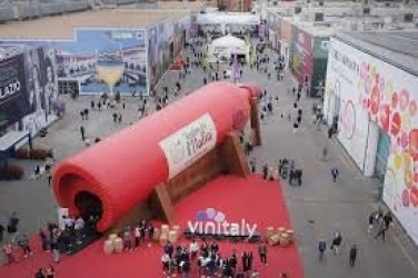 https://www.tp24.it/immagini_articoli/14-04-2026/vinitaly-la-sicilia-unisce-cultura-innovazione-e-vino-250.jpg
