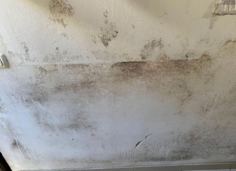 https://www.tp24.it/immagini_articoli/14-05-2026/castelvetrano-muffa-e-infiltrazioni-d-acqua-all-ufficio-servizi-demografici-250.jpg