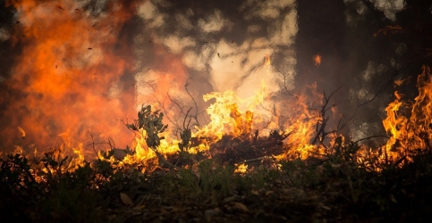 https://www.tp24.it/immagini_articoli/14-05-2026/erice-scatta-la-corsa-antincendio-entro-il-15-maggio-pulizia-obbligatoria-dei-terreni-250.jpg