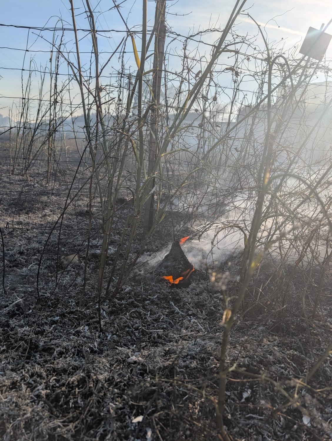 https://www.tp24.it/immagini_articoli/14-06-2026/1781456238-0-marsala-brucia-vasto-incendio-a-timpone-d-oro.jpg
