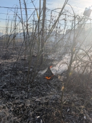https://www.tp24.it/immagini_articoli/14-06-2026/marsala-brucia-vasto-incendio-a-timpone-d-oro-250.jpg