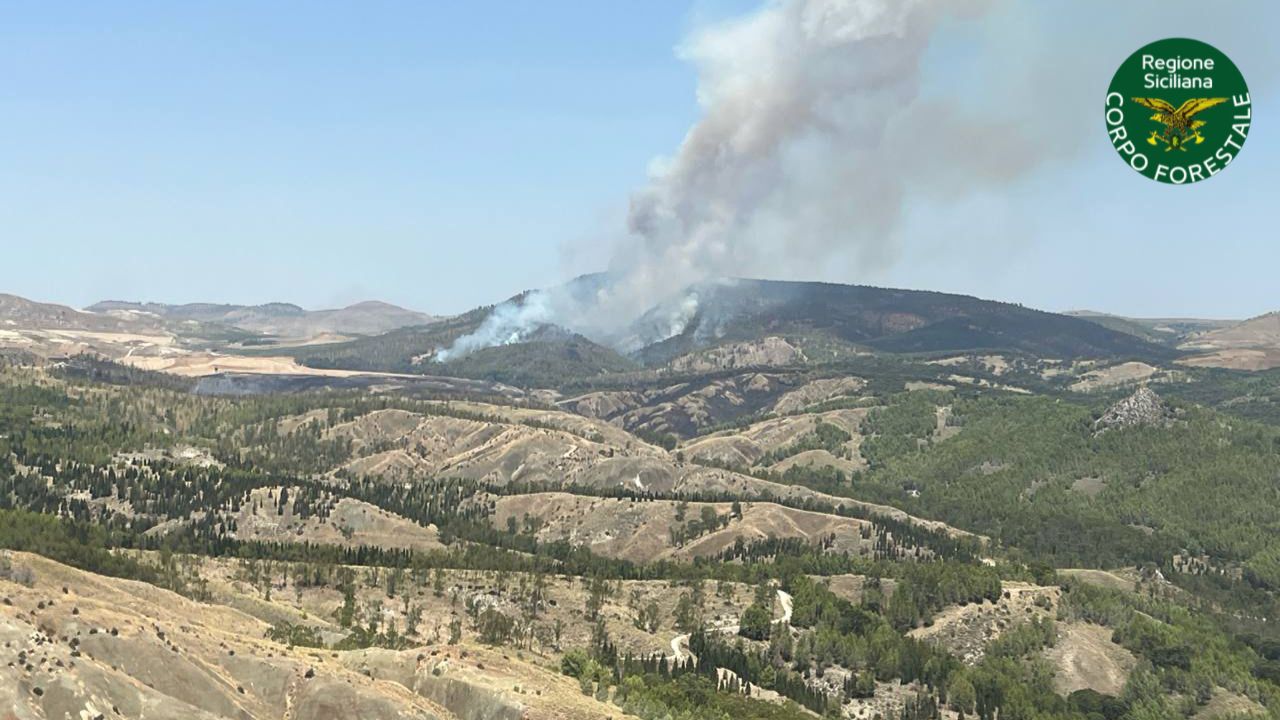 https://www.tp24.it/immagini_articoli/14-07-2025/1752517202-0-in-sicilia-oggi-ci-sono-stati-53-incendi.jpg